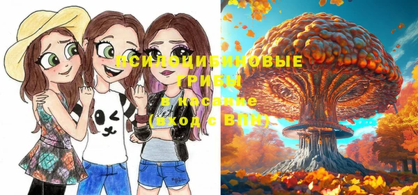 a pvp Покров