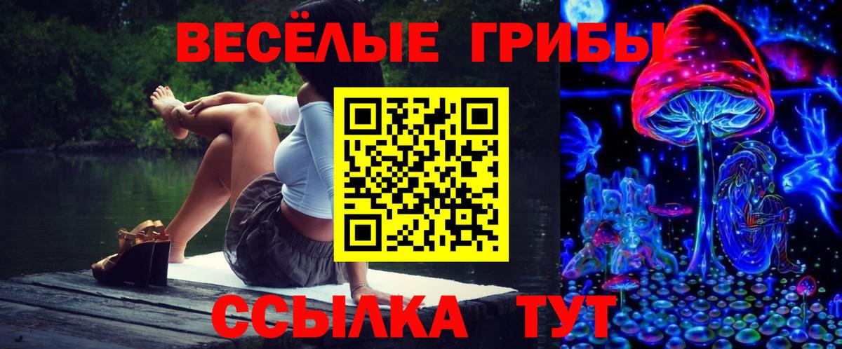 Галлюциногенные грибы Cubensis Славянск-на-Кубани