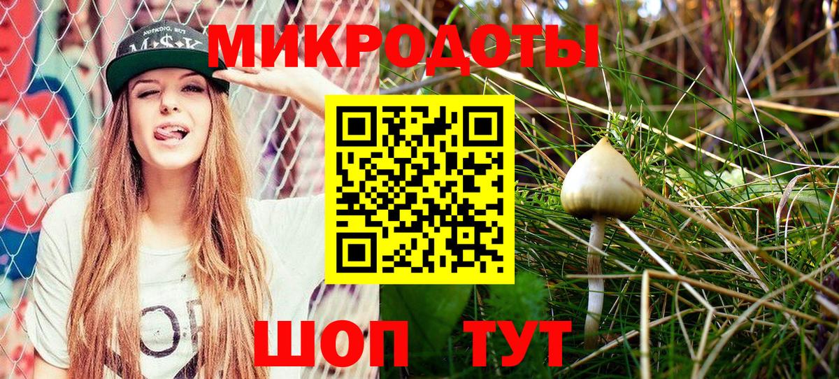 Галлюциногенные грибы Psilocybine cubensis  Вход с VPN  Галлюциногенные грибы ЛСД  Славянск-на-Кубани 
