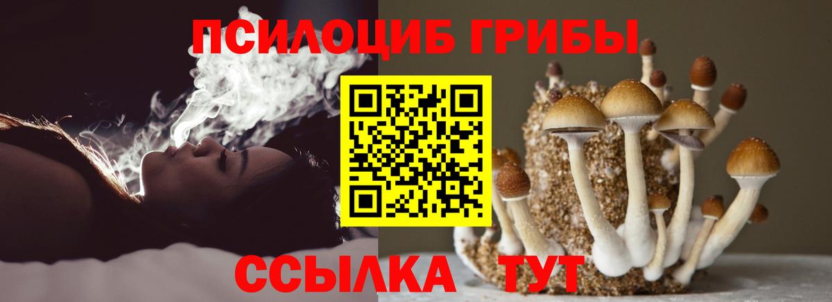Галлюциногенные грибы мухоморы Славянск-на-Кубани